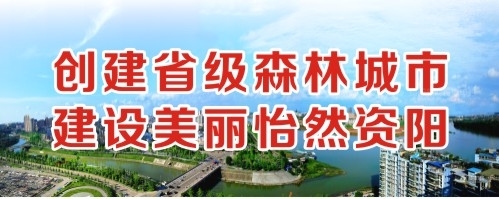 大骚货被插骚比视频网站创建省级森林城市 建设美丽怡然资阳